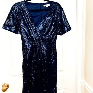 Never worn Francesca’s midnight blue sequin dress